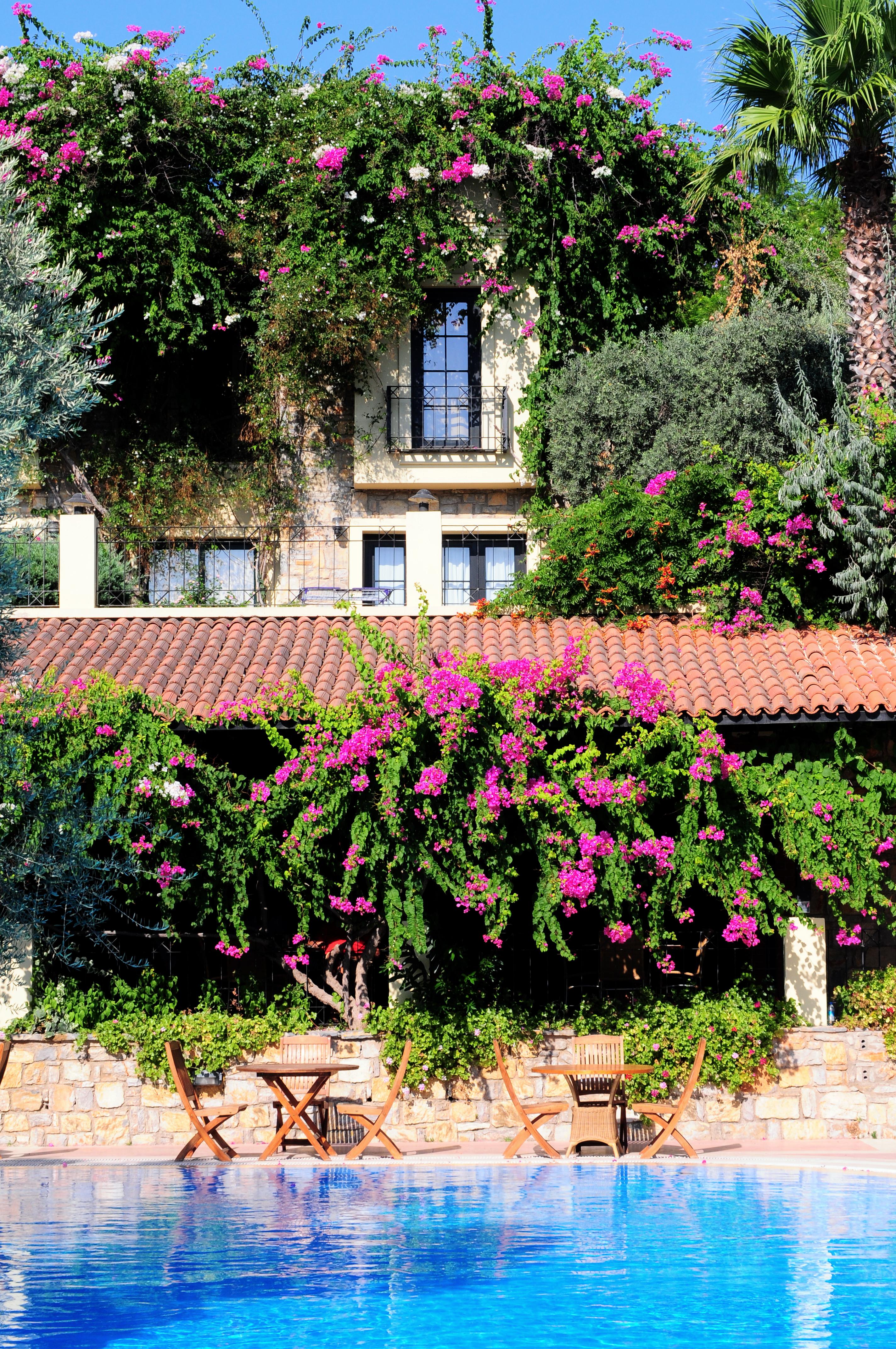 Zeytinada Hotel Torba Buitenkant foto