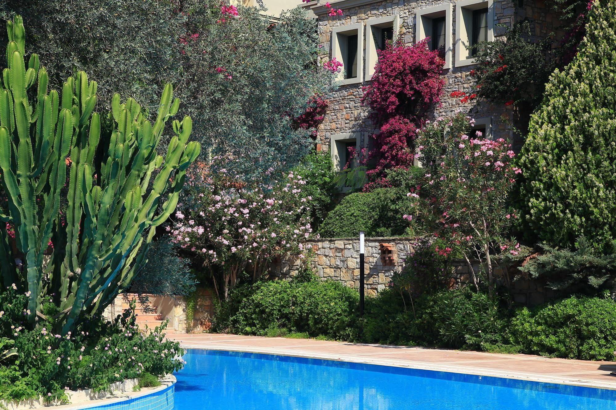 Zeytinada Hotel Torba Buitenkant foto